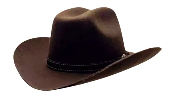 Westernhut Rodeo mit spitz zulaufender Krempe in Dunkelbraun